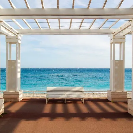 Myosotis * Νίκαια